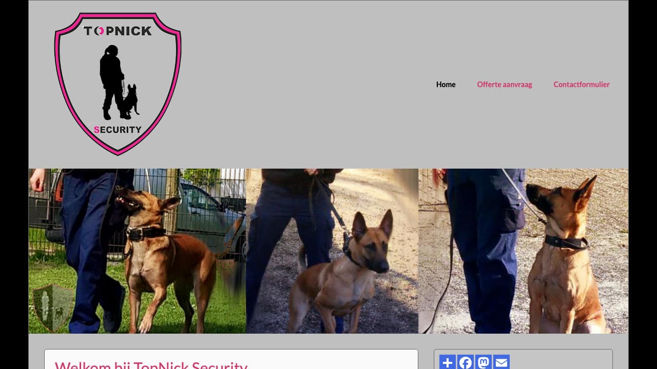 Topnick Security, origineel